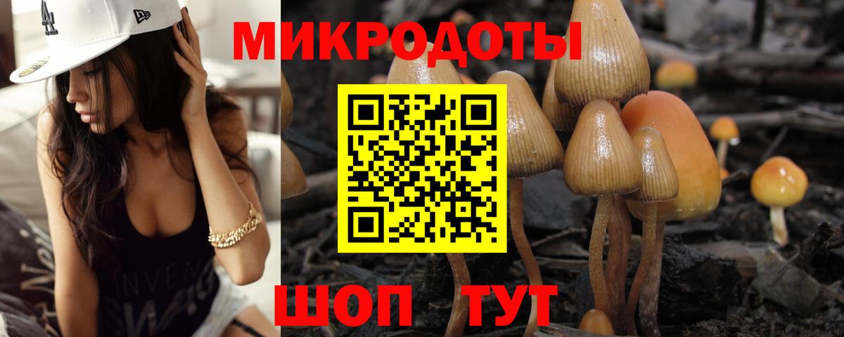 Михайловка  Псилоцибиновые грибы прущие грибы  Вход с VPN 