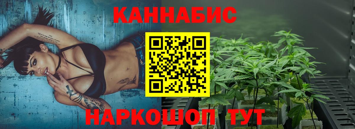 Бошки марихуана VHQ  МАРИХУАНА конопля  Вход с VPN  Каннабис индика  Михайловка 